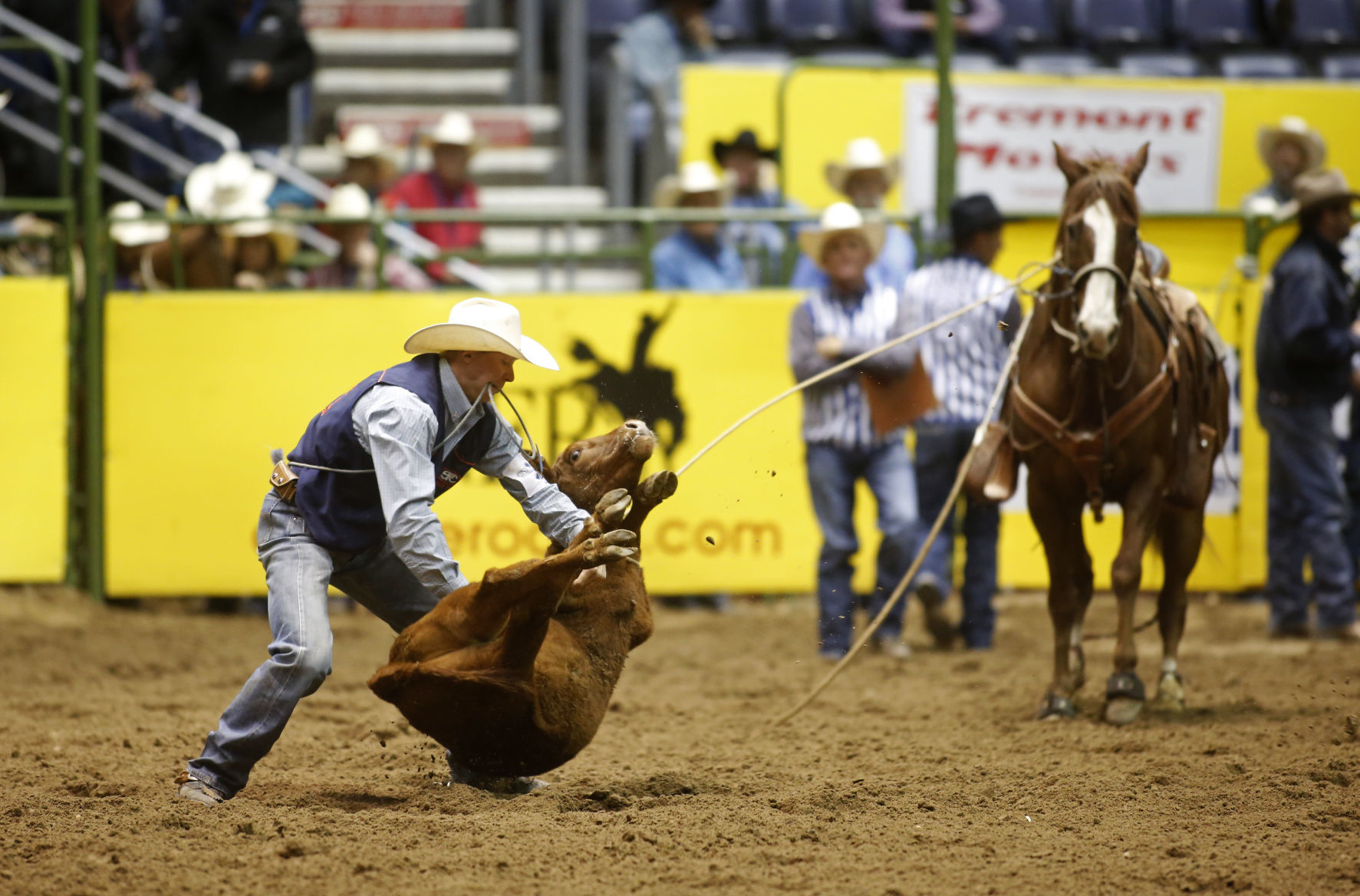 CNFR - Tuesday Slack